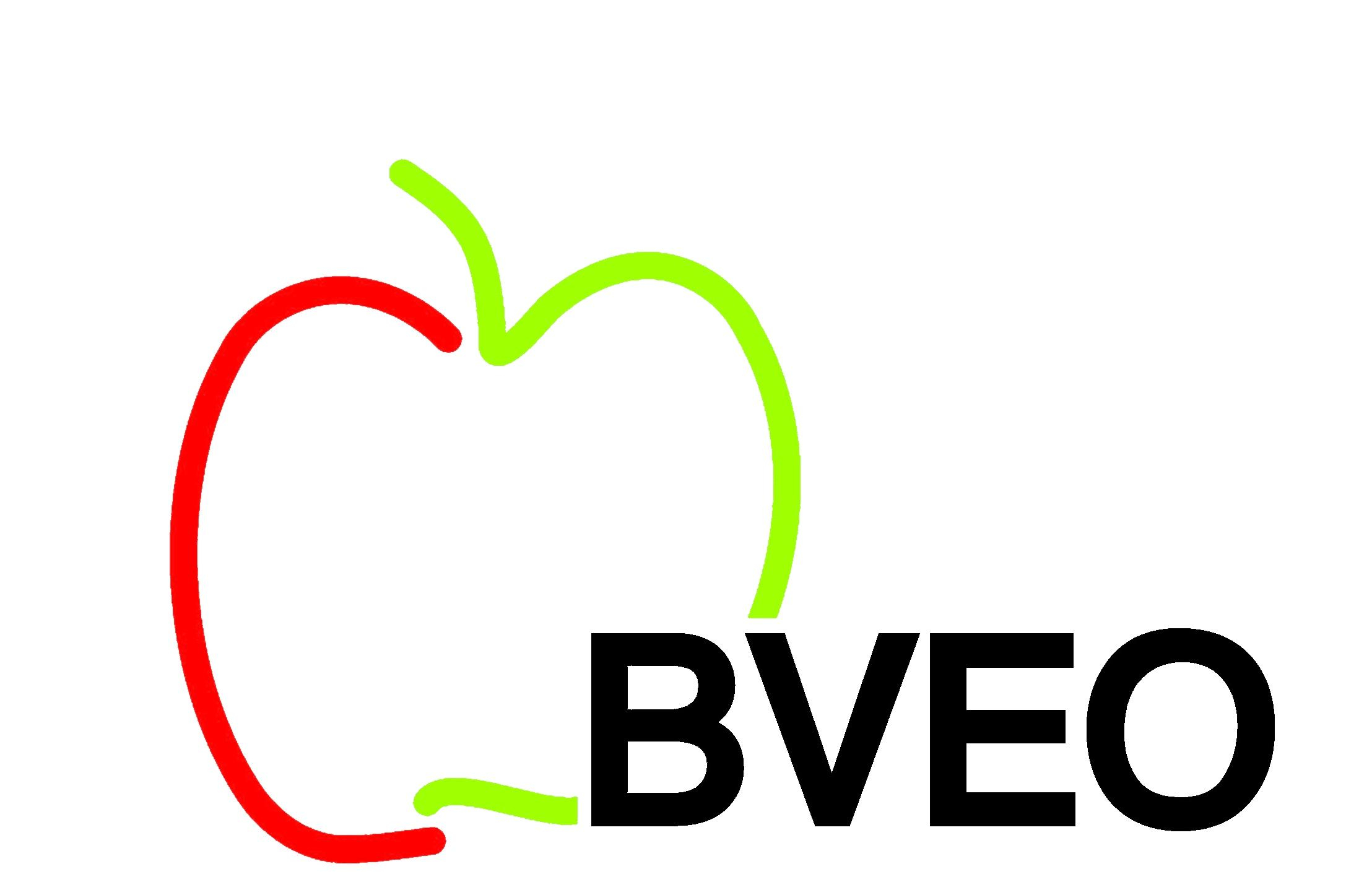 BVEO transparent