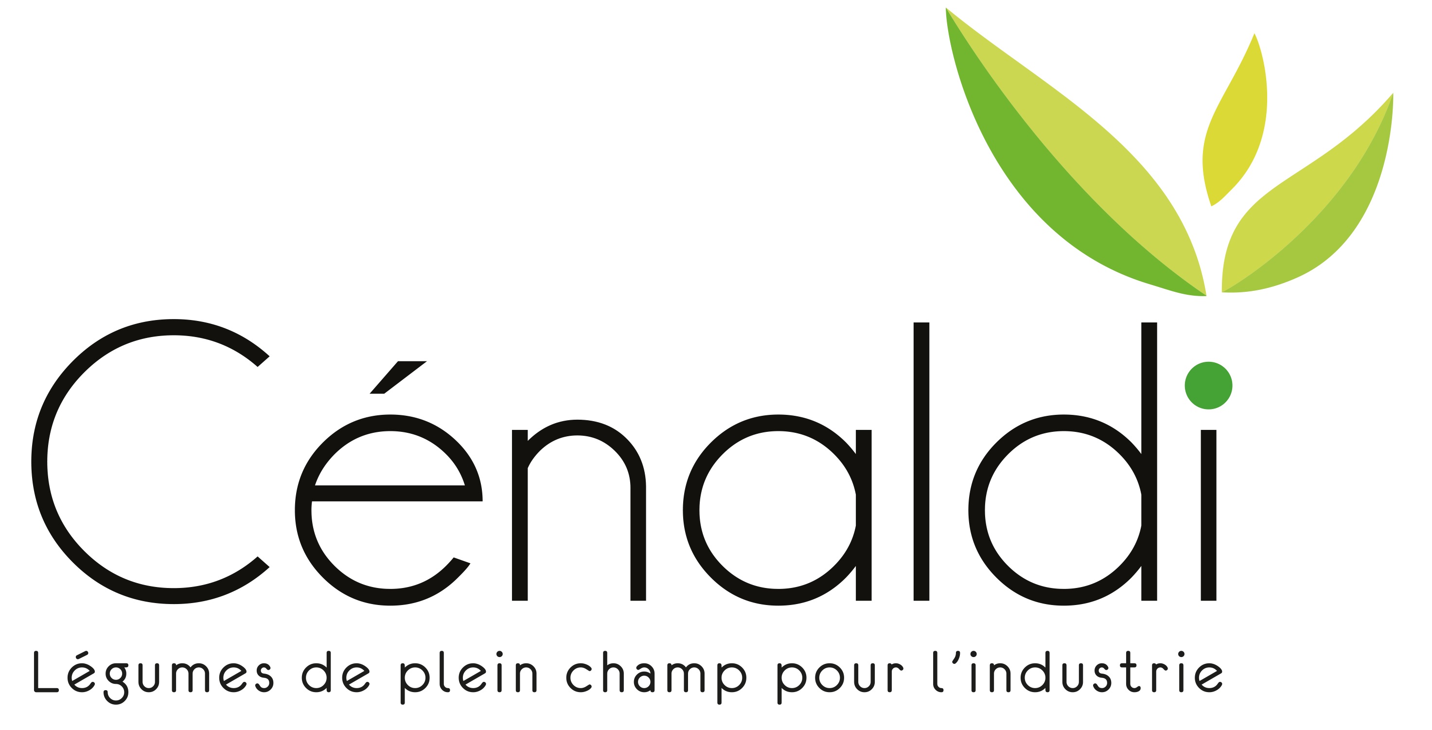 CENALDI 2020