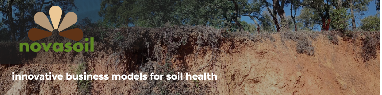 novasoil header logo